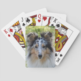 Merle Shetland Sheepdog - Sheltie Dog Pokerkaarten