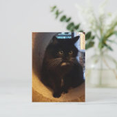 Merlijn in het Briefkaart van de Tunnel (Staand voorkant)