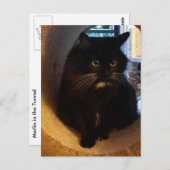 Merlijn in het Briefkaart van de Tunnel (Voorkant / Achterkant)