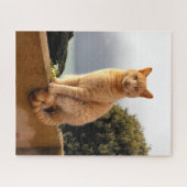 Merlin de gemberkat legpuzzel (Horizontaal)