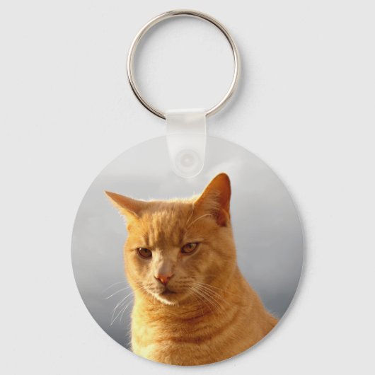 Merlin de gemberkat sleutelhanger (Voorkant)