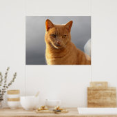 Merlin en de orb poster (Keuken)