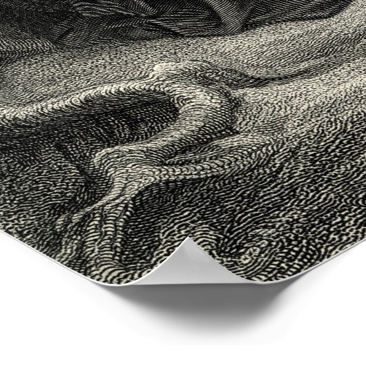 Merlin en Vivien Poster (Hoek)