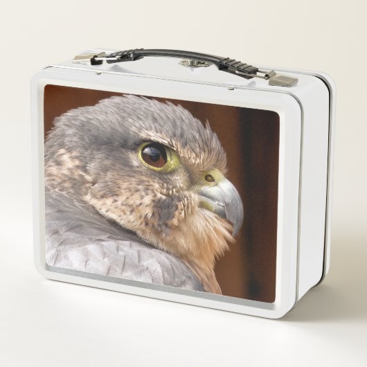 MERLIN FALCON BIRD VAN PREY (Achterkant)