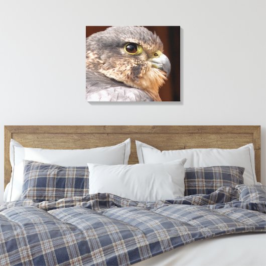 MERLIN FALCON BIRD VAN PREY CANVAS AFDRUK (Insitu (Slaapkamer))