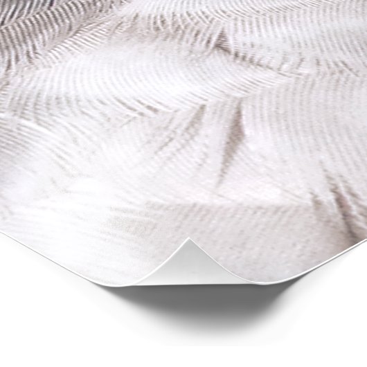 MERLIN FALCON BIRD VAN PREY FOTO AFDRUK (Hoek)