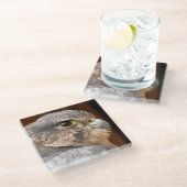 MERLIN FALCON BIRD VAN PREY GLAZEN ONDERZETTER (Schuin)