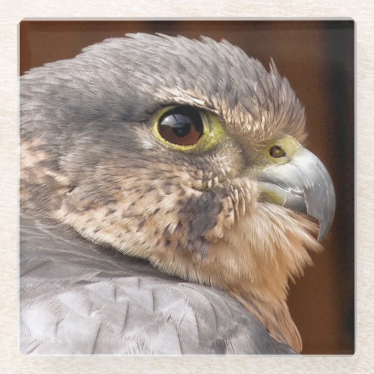 MERLIN FALCON BIRD VAN PREY GLAZEN ONDERZETTER (Voorkant)
