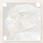 MERLIN FALCON BIRD VAN PREY GLAZEN ONDERZETTER (Achterkant)