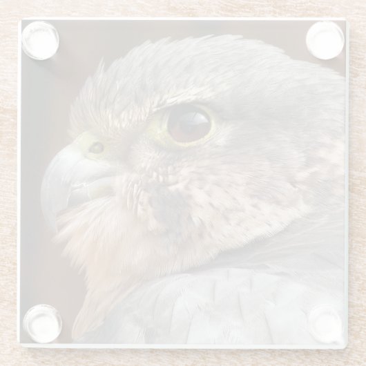 MERLIN FALCON BIRD VAN PREY GLAZEN ONDERZETTER (Achterkant)