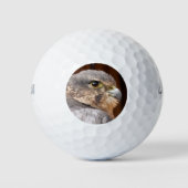 MERLIN FALCON BIRD VAN PREY GOLFBALLEN (Voorkant)