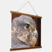 MERLIN FALCON BIRD VAN PREY HANGEND WANDKLEED (Gebogen)