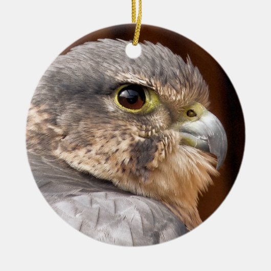 MERLIN FALCON BIRD VAN PREY KERAMISCH ORNAMENT (Voorkant)