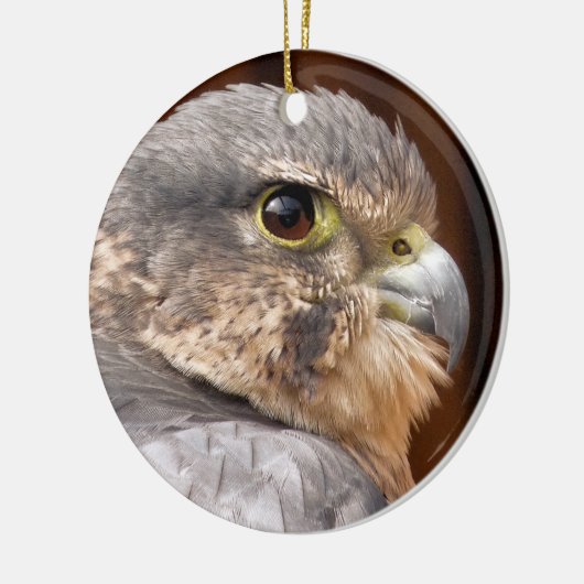 MERLIN FALCON BIRD VAN PREY KERAMISCH ORNAMENT (Links)