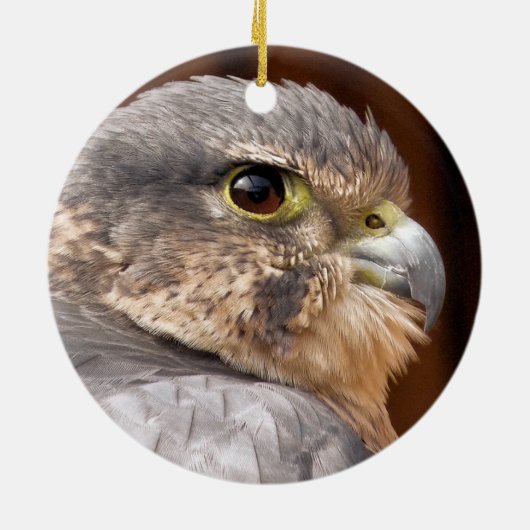 MERLIN FALCON BIRD VAN PREY KERAMISCH ORNAMENT (Achterkant)