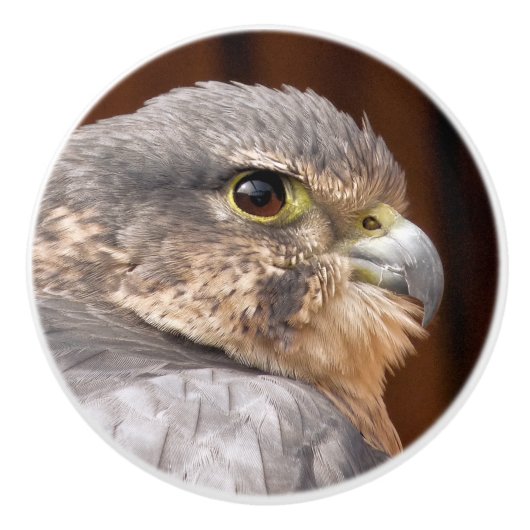 MERLIN FALCON BIRD VAN PREY KERAMISCHE KNOP (Voorkant)