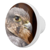 MERLIN FALCON BIRD VAN PREY KERAMISCHE KNOP (Rechts)