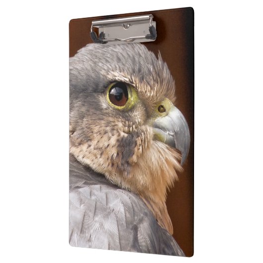 MERLIN FALCON BIRD VAN PREY KLEMBORD (Links)