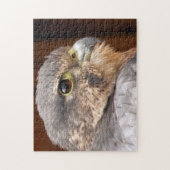 MERLIN FALCON BIRD VAN PREY LEGPUZZEL (Verticaal)