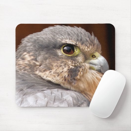 MERLIN FALCON BIRD VAN PREY MUISMAT (Met muis)