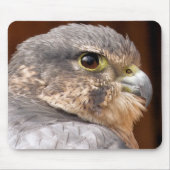MERLIN FALCON BIRD VAN PREY MUISMAT (Voorkant)
