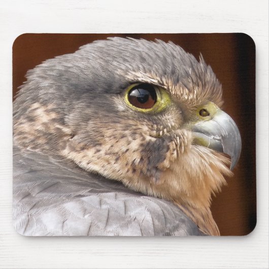 MERLIN FALCON BIRD VAN PREY MUISMAT (Voorkant)