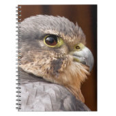 MERLIN FALCON BIRD VAN PREY NOTITIEBOEK (Voorkant)