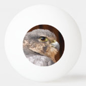 MERLIN FALCON BIRD VAN PREY PINGPONGBAL (Voorkant)
