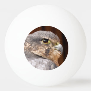 MERLIN FALCON BIRD VAN PREY PINGPONGBAL