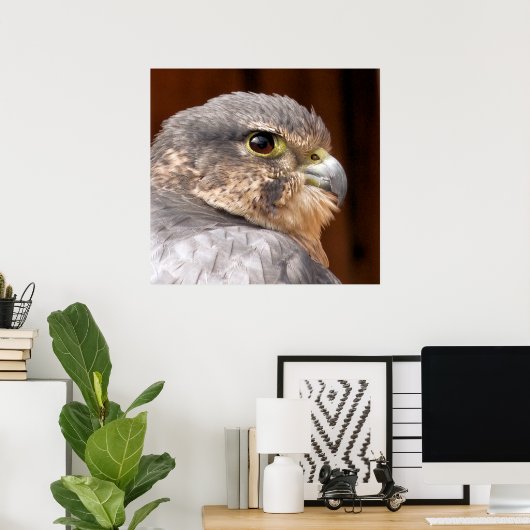 MERLIN FALCON BIRD VAN PREY POSTER (Thuiskantoor)