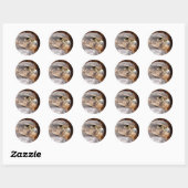 MERLIN FALCON BIRD VAN PREY RONDE STICKER (Vel)