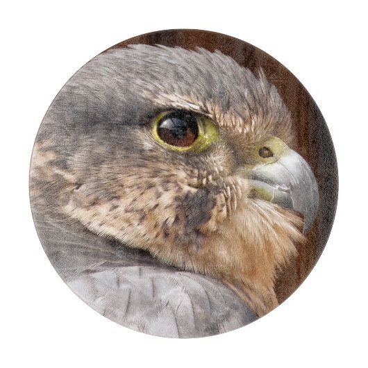 MERLIN FALCON BIRD VAN PREY SNIJPLANK (Voorkant)