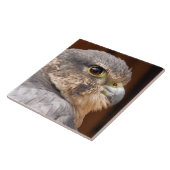 MERLIN FALCON BIRD VAN PREY TEGELTJE (Zijkant)