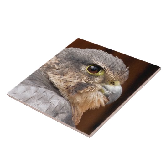 MERLIN FALCON BIRD VAN PREY TEGELTJE (Zijkant)