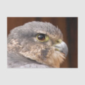 MERLIN FALCON BIRD VAN PREY TISSUEPAPIER (Voorkant)