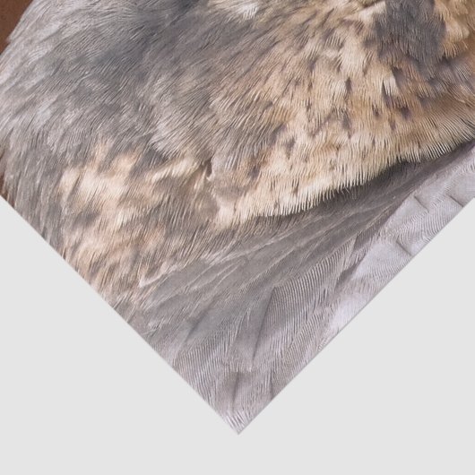 MERLIN FALCON BIRD VAN PREY TISSUEPAPIER (Detail)