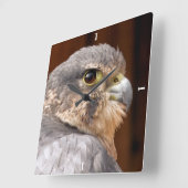 MERLIN FALCON BIRD VAN PREY VIERKANTE KLOK (Hoek)