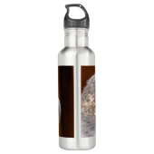 MERLIN FALCON BIRD VAN PREY WATERFLES  (Achterkant)