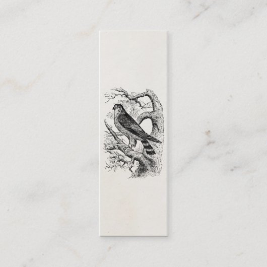 Merlin Falcon Bird - Vogelvogels Sjabloon Blank Mini Visitekaartje (Voorkant)