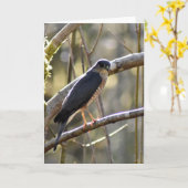 Merlin Falcon - Frameable Art Card Kaart (Gele Bloem)