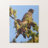 Merlin Falcon in Pine Tree Legpuzzel (Verticaal)