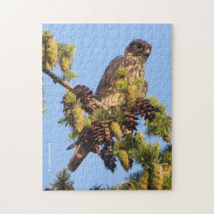 Merlin Falcon in Pine Tree Legpuzzel