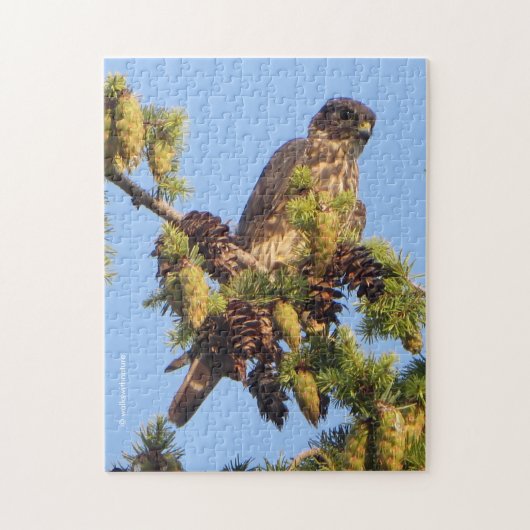 Merlin Falcon in Pine Tree Legpuzzel (Verticaal)