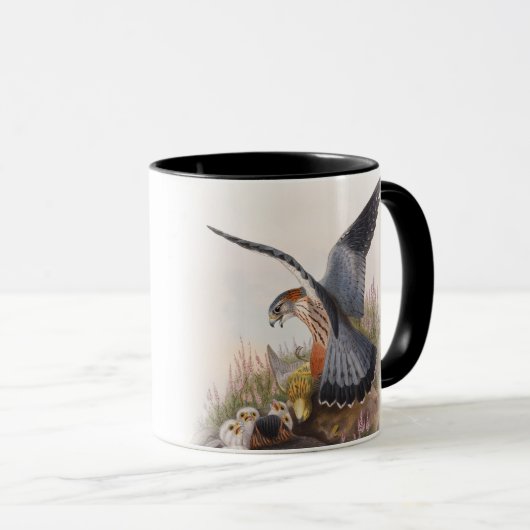 Merlin Falcon John Gould Birds of Great Britain Mok (Voorkant rechts)