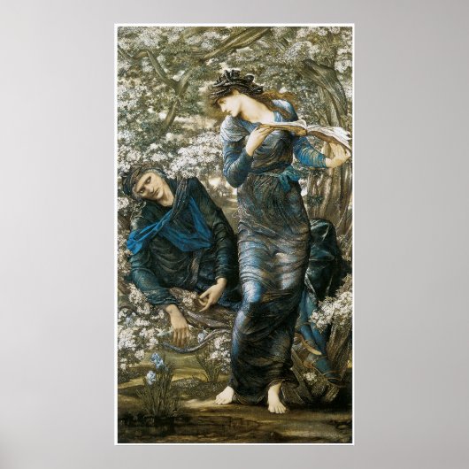 Merlin Fine Art Poster of Print (Voorkant)