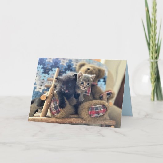 Merlin & Guinevere - Cat / Kitten Birthday Kaart (Voorkant)