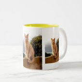 Merlin op de tuinmuur tweekleurige koffiemok (Voorkant rechts)