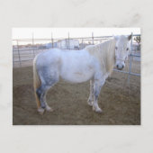 Merlin Post Card Briefkaart (Voorkant)