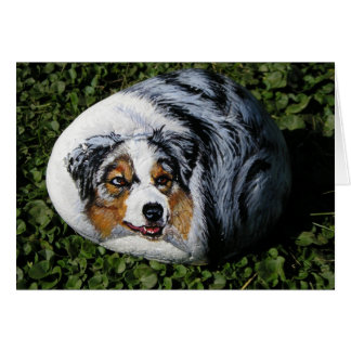"Merlin"-rockkaart voor honden