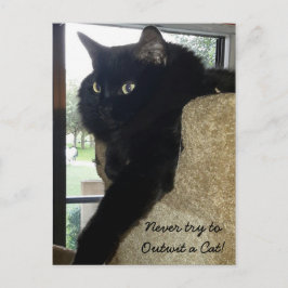 Merlin the Cat Quote Briefkaart